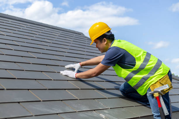 Best Roof Insulation Installation  in Farmer City, IL