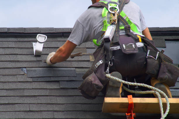 Best Chimney Flashing Repair  in Farmer City, IL