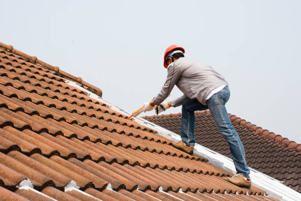 Best Roof Ventilation Installation  in Farmer City, IL